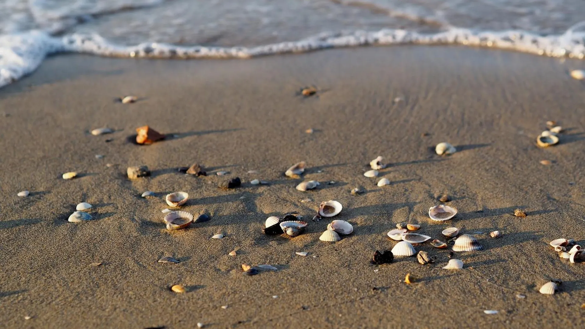 Apartment Lovely Seaview Flat - Beahost Rentals Bibione